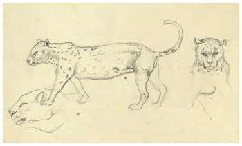 Visualizza l'immagine "FD D 1914 r."